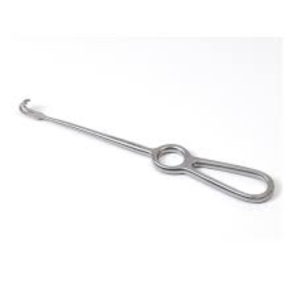 volkmann wondhaak 2 tands stomp 22 cm rvs