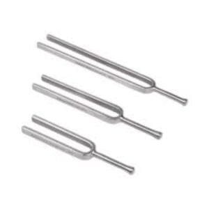 stemvork 256 hz 15 cm rvs