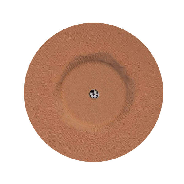 sensor protect fsl bruin